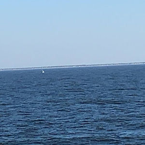 Meet your Posher, Basheer